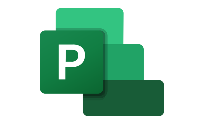 Microsoft Project Professional